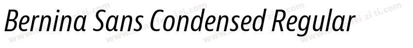Bernina Sans Condensed Regular字体转换